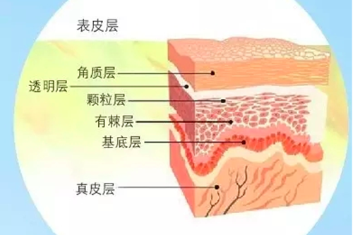 免费体验装