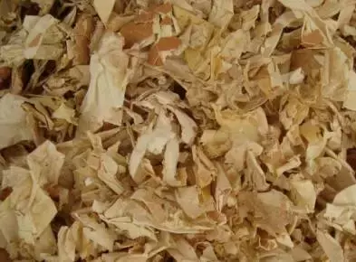 鸡蛋内膜巧治黑鼻头，简单实用又省钱